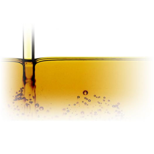 repicino ulje snine trade doo